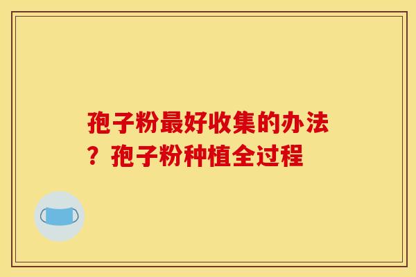 孢子粉好收集的办法?孢子粉种植全过程 孢子粉好收集的办法?孢子粉种植全过程