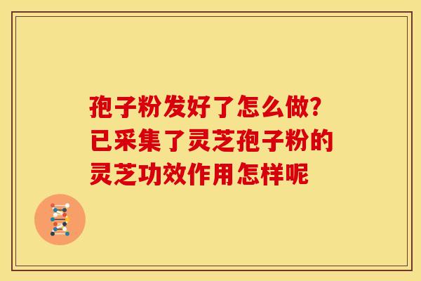 孢子粉发好了怎么做？已采集了灵芝孢子粉的灵芝功效作用怎样呢