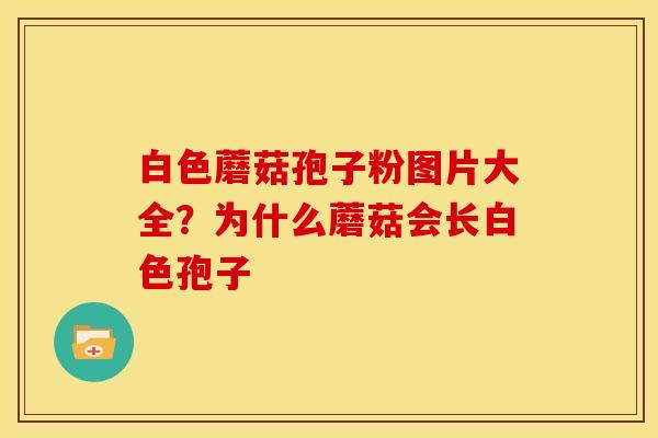 白色蘑菇孢子粉图片大全？为什么蘑菇会长白色孢子