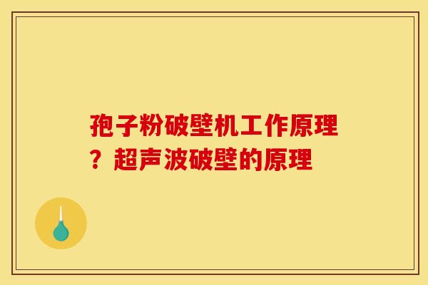 孢子粉破壁机工作原理?超声波破壁的原理 孢子粉破壁机工作原理?超声波破壁的原理