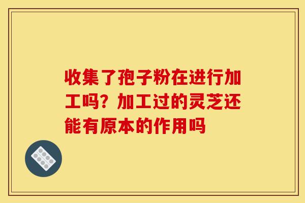 收集了孢子粉在进行加工吗?加工过的灵芝还能有原本的作用吗 收集了孢子粉在进行加工吗?加工过的灵芝还能有原本的作用吗