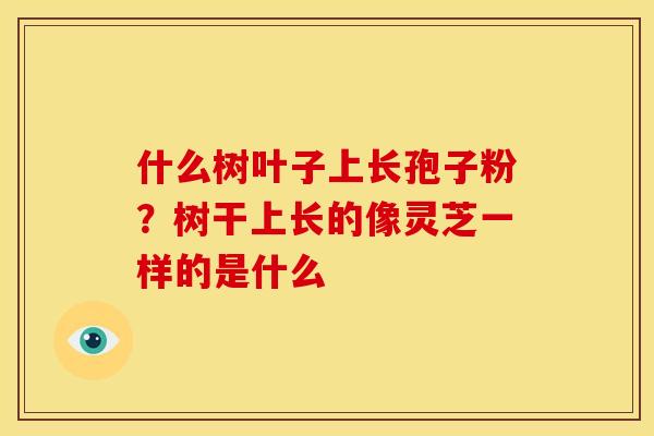 什么树叶子上长孢子粉?树干上长的像灵芝一样的是什么 什么树叶子上长孢子粉?树干上长的像灵芝一样的是什么