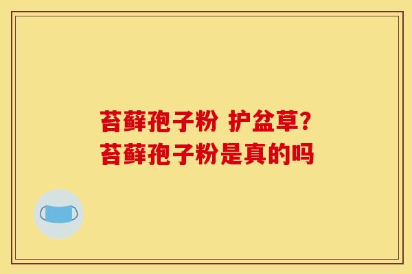苔藓孢子粉 护盆草?苔藓孢子粉是真的吗 苔藓孢子粉 护盆草?苔藓孢子粉是真的吗