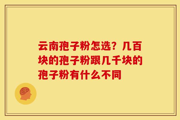 云南孢子粉怎选?几百块的孢子粉跟几千块的孢子粉有什么不同 云南孢子粉怎选?几百块的孢子粉跟几千块的孢子粉有什么不同