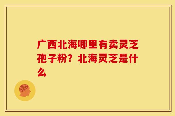 广西北海哪里有卖灵芝孢子粉?北海灵芝是什么 广西北海哪里有卖灵芝孢子粉?北海灵芝是什么