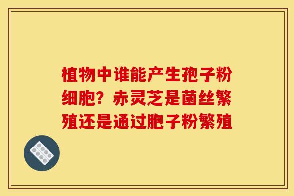 植物中谁能产生孢子粉细胞?赤灵芝是菌丝繁殖还是通过胞子粉繁殖 植物中谁能产生孢子粉细胞?赤灵芝是菌丝繁殖还是通过胞子粉繁殖