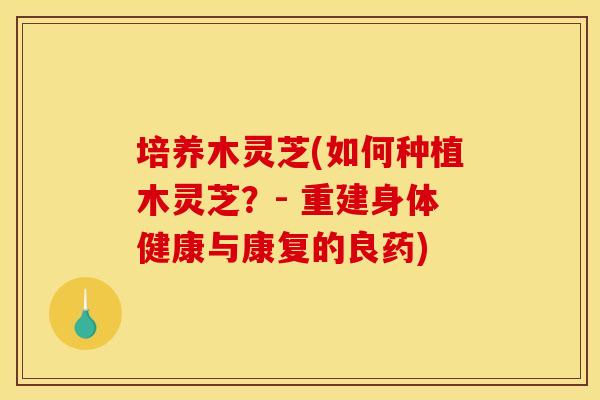 培养木灵芝(如何种植木灵芝?- 重建身体健康与康复的良药) 培养木灵芝(如何种植木灵芝?- 重建身体健康与康复的良药)