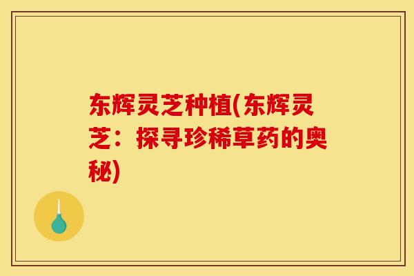 东辉灵芝种植(东辉灵芝:探寻珍稀草药的奥秘) 东辉灵芝种植(东辉灵芝:探寻珍稀草药的奥秘)
