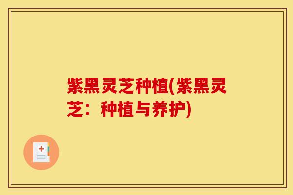紫黑灵芝种植(紫黑灵芝:种植与养护) 紫黑灵芝种植(紫黑灵芝:种植与养护)