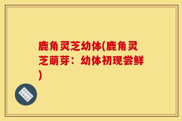 鹿角灵芝幼体(鹿角灵芝萌芽:幼体初现尝鲜) 鹿角灵芝幼体(鹿角灵芝萌芽:幼体初现尝鲜)