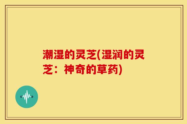 潮湿的灵芝(湿润的灵芝:神奇的草药) 潮湿的灵芝(湿润的灵芝:神奇的草药)
