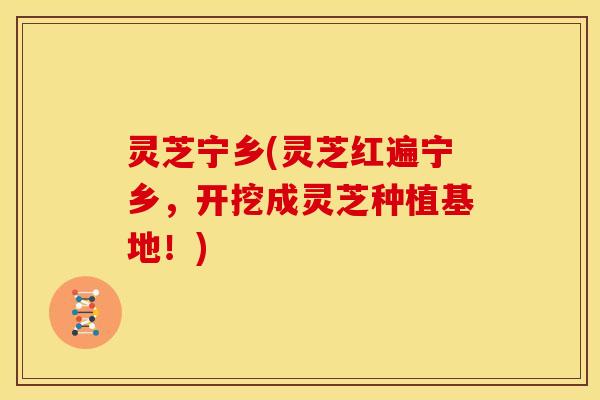 灵芝宁乡(灵芝红遍宁乡,开挖成灵芝种植基地!) 灵芝宁乡(灵芝红遍宁乡,开挖成灵芝种植基地!)