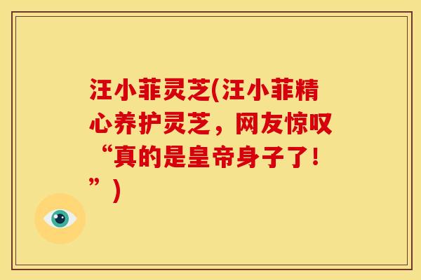 汪小菲灵芝(汪小菲精心养护灵芝,网友惊叹“真的是皇帝身子了!”) 汪小菲灵芝(汪小菲精心养护灵芝,网友惊叹“真的是皇帝身子了!”)