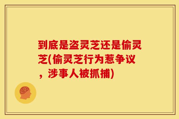 到底是盗灵芝还是偷灵芝(偷灵芝行为惹争议,涉事人被抓捕) 到底是盗灵芝还是偷灵芝(偷灵芝行为惹争议,涉事人被抓捕)