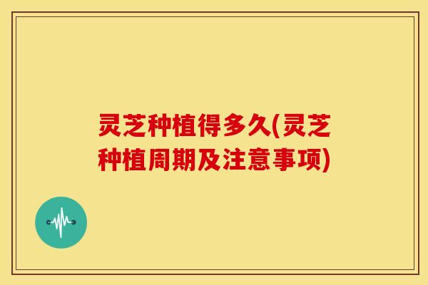 灵芝种植得多久(灵芝种植周期及注意事项) 灵芝种植得多久(灵芝种植周期及注意事项)
