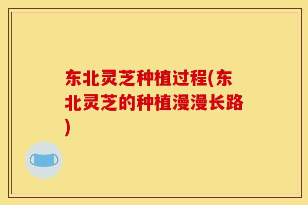 东北灵芝种植过程(东北灵芝的种植漫漫长路) 东北灵芝种植过程(东北灵芝的种植漫漫长路)