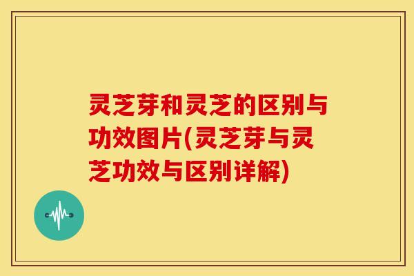 灵芝芽和灵芝的区别与功效图片(灵芝芽与灵芝功效与区别详解) 灵芝芽和灵芝的区别与功效图片(灵芝芽与灵芝功效与区别详解)