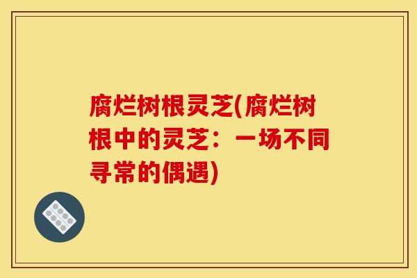 腐烂树根灵芝(腐烂树根中的灵芝:一场不同寻常的偶遇) 腐烂树根灵芝(腐烂树根中的灵芝:一场不同寻常的偶遇)