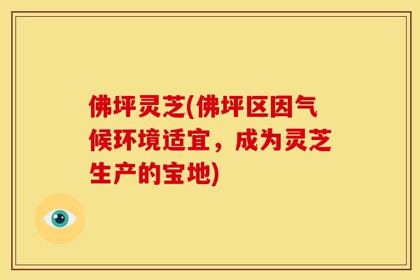 佛坪灵芝(佛坪区因气候环境适宜,成为灵芝生产的宝地) 佛坪灵芝(佛坪区因气候环境适宜,成为灵芝生产的宝地)