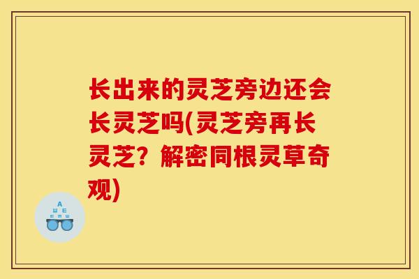 长出来的灵芝旁边还会长灵芝吗(灵芝旁再长灵芝？解密同根灵草奇观)
