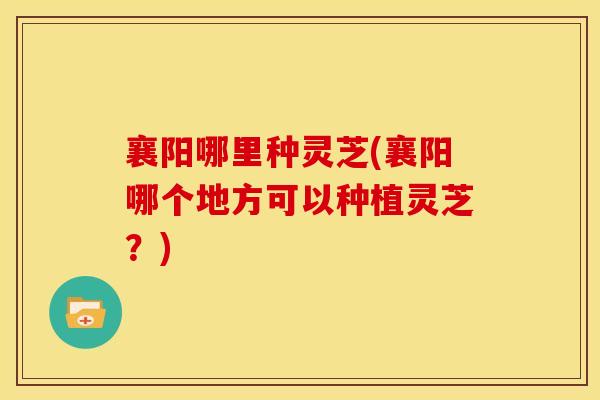 襄阳哪里种灵芝(襄阳哪个地方可以种植灵芝?) 襄阳哪里种灵芝(襄阳哪个地方可以种植灵芝?)
