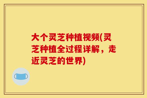 大个灵芝种植视频(灵芝种植全过程详解，走近灵芝的世界)