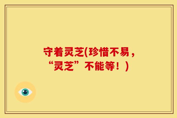 守着灵芝(珍惜不易,“灵芝”不能等!) 守着灵芝(珍惜不易,“灵芝”不能等!)