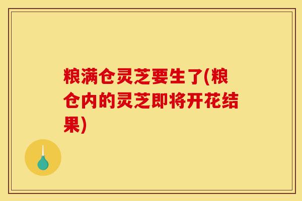 粮满仓灵芝要生了(粮仓内的灵芝即将开花结果) 粮满仓灵芝要生了(粮仓内的灵芝即将开花结果)