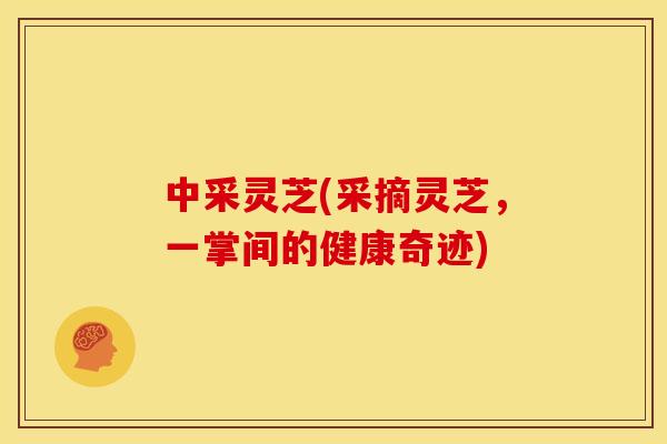 中采灵芝(采摘灵芝,一掌间的健康奇迹) 中采灵芝(采摘灵芝,一掌间的健康奇迹)