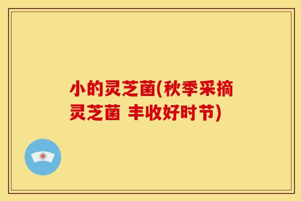 小的灵芝菌(秋季采摘灵芝菌 丰收好时节)