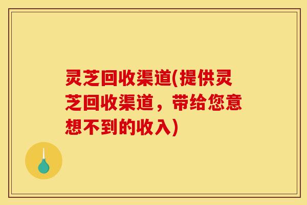 灵芝回收渠道(提供灵芝回收渠道,带给您意想不到的收入) 灵芝回收渠道(提供灵芝回收渠道,带给您意想不到的收入)