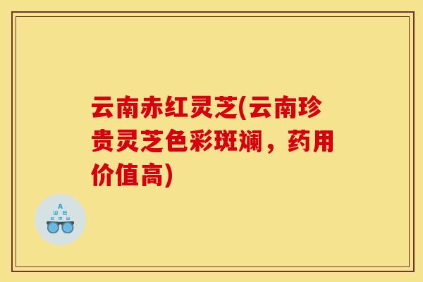 云南赤红灵芝(云南珍贵灵芝色彩斑斓,药用价值高) 云南赤红灵芝(云南珍贵灵芝色彩斑斓,药用价值高)