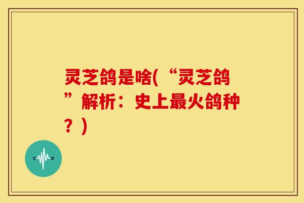 灵芝鸽是啥(“灵芝鸽”解析:史上火鸽种?) 灵芝鸽是啥(“灵芝鸽”解析:史上火鸽种?)