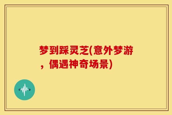 梦到踩灵芝(意外梦游,偶遇神奇场景) 梦到踩灵芝(意外梦游,偶遇神奇场景)