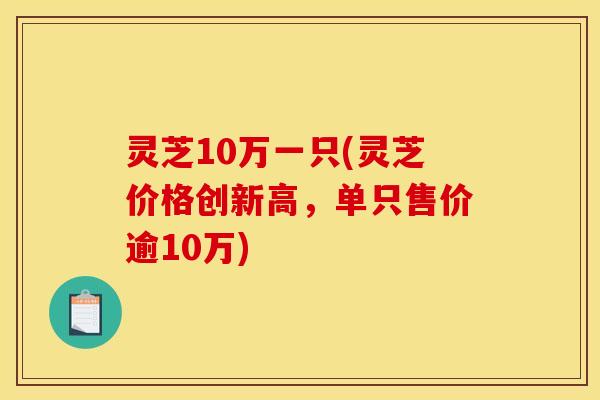 灵芝10万一只(灵芝价格创新高,单只售价逾10万) 灵芝10万一只(灵芝价格创新高,单只售价逾10万)