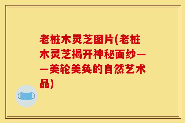 老桩木灵芝图片(老桩木灵芝揭开神秘面纱——美轮美奂的自然艺术品)