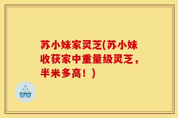 苏小妹家灵芝(苏小妹收获家中重量级灵芝,半米多高!) 苏小妹家灵芝(苏小妹收获家中重量级灵芝,半米多高!)