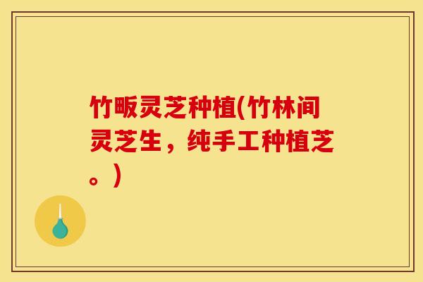 竹畈灵芝种植(竹林间灵芝生,纯手工种植芝。) 竹畈灵芝种植(竹林间灵芝生,纯手工种植芝。)