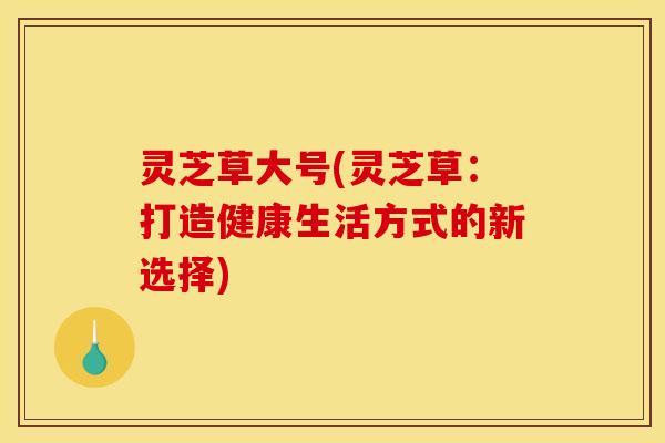 灵芝草大号(灵芝草:打造健康生活方式的新选择) 灵芝草大号(灵芝草:打造健康生活方式的新选择)