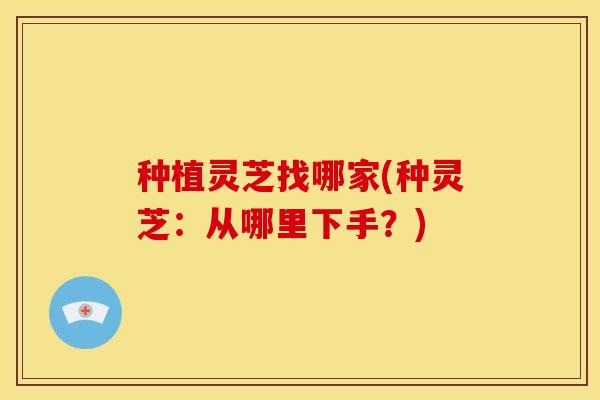 种植灵芝找哪家(种灵芝:从哪里下手?) 种植灵芝找哪家(种灵芝:从哪里下手?)