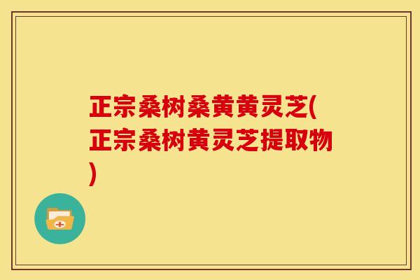正宗桑树桑黄黄灵芝(正宗桑树黄灵芝提取物) 正宗桑树桑黄黄灵芝(正宗桑树黄灵芝提取物)