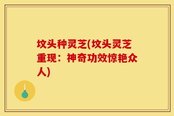 坟头种灵芝(坟头灵芝重现：神奇功效惊艳众人)