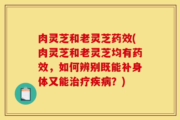 肉灵芝和老灵芝(肉灵芝和老灵芝均有,如何辨别既能补身体又能?) 肉灵芝和老灵芝(肉灵芝和老灵芝均有,如何辨别既能补身体又能?)