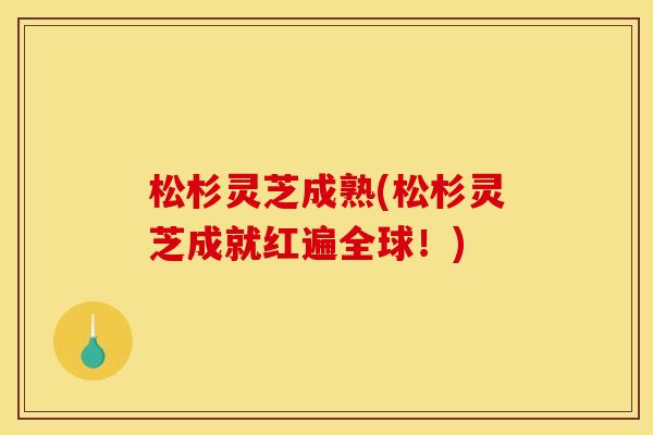 松杉灵芝成熟(松杉灵芝成就红遍全球!) 松杉灵芝成熟(松杉灵芝成就红遍全球!)