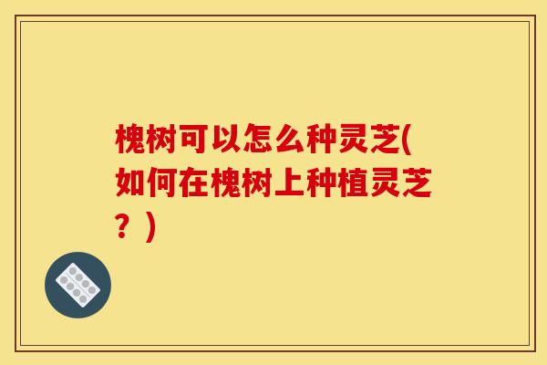 槐树可以怎么种灵芝(如何在槐树上种植灵芝?) 槐树可以怎么种灵芝(如何在槐树上种植灵芝?)