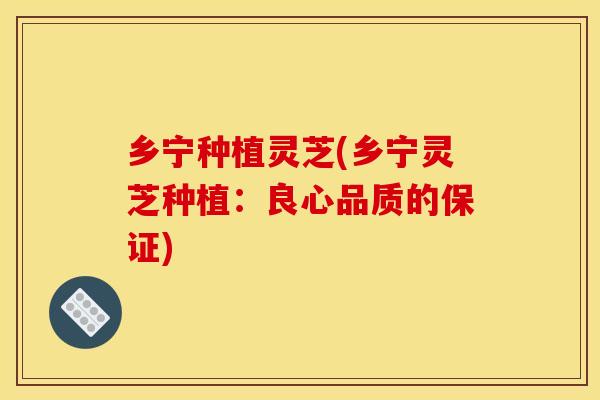 乡宁种植灵芝(乡宁灵芝种植:良心品质的保证) 乡宁种植灵芝(乡宁灵芝种植:良心品质的保证)