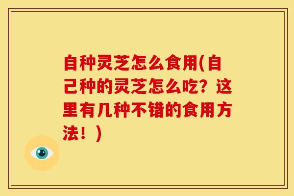 自种灵芝怎么食用(自己种的灵芝怎么吃?这里有几种不错的食用方法!) 自种灵芝怎么食用(自己种的灵芝怎么吃?这里有几种不错的食用方法!)