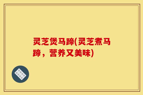 灵芝煲马蹄(灵芝煮马蹄,营养又美味) 灵芝煲马蹄(灵芝煮马蹄,营养又美味)