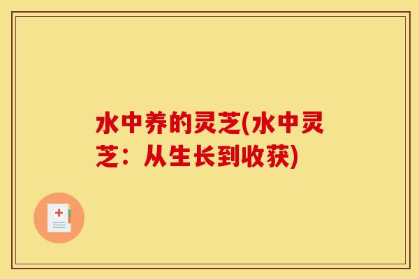 水中养的灵芝(水中灵芝:从生长到收获) 水中养的灵芝(水中灵芝:从生长到收获)
