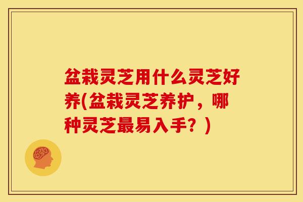 盆栽灵芝用什么灵芝好养(盆栽灵芝养护,哪种灵芝易入手?) 盆栽灵芝用什么灵芝好养(盆栽灵芝养护,哪种灵芝易入手?)